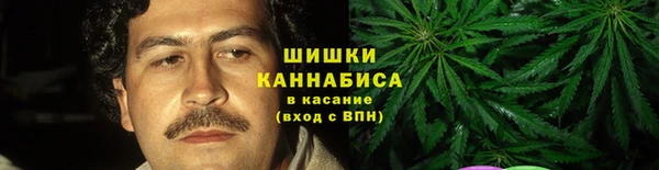 ECSTASY Алзамай