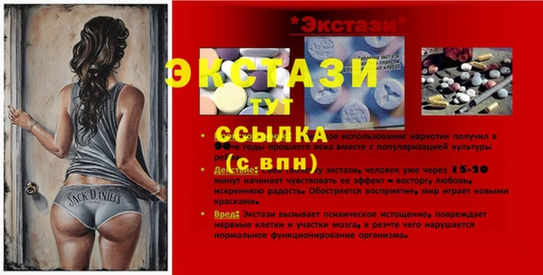 ECSTASY Алзамай
