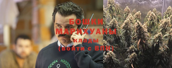 бошки Алексин